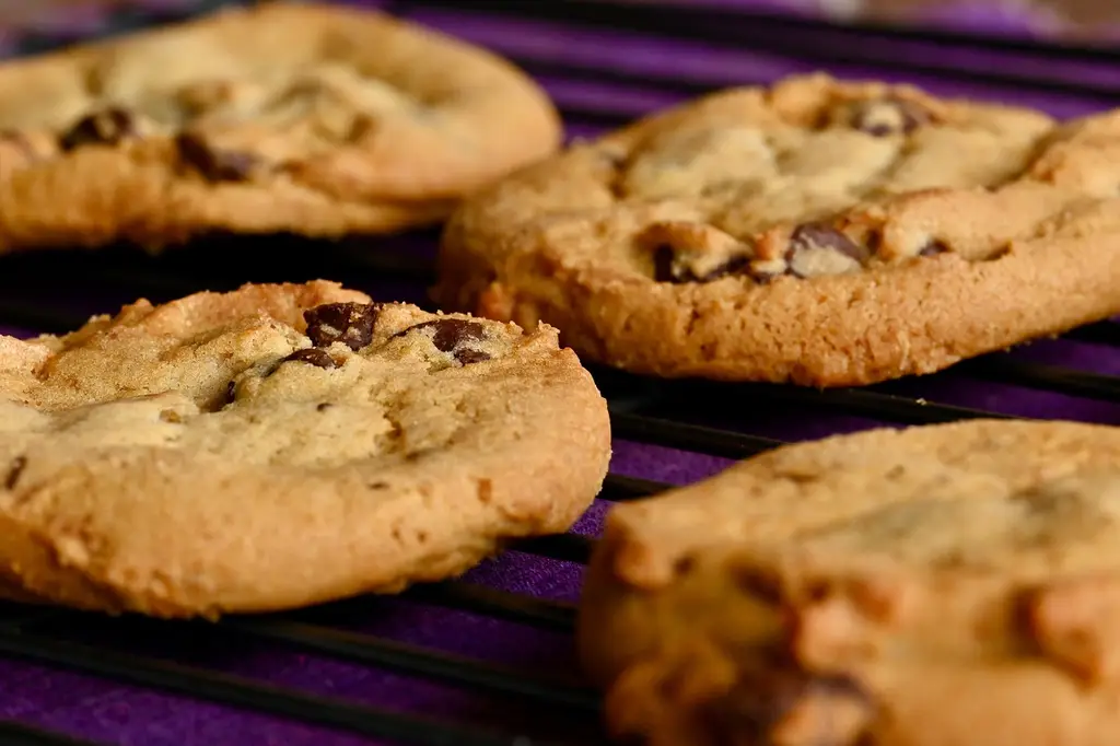 cookies, sweets, dessert, chocolate chip, sugar, food, baking, calories, cookies, cookies, cookies, cookies, cookies