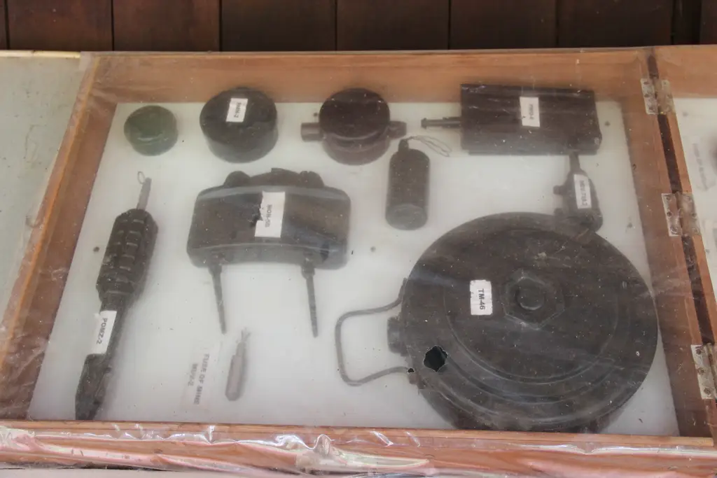 Land Mines (9733041706)