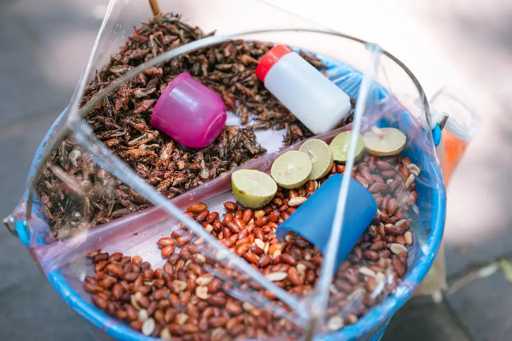 Colorful display of traditional Mexican street snack including peanuts, grasshoppers, and limes.