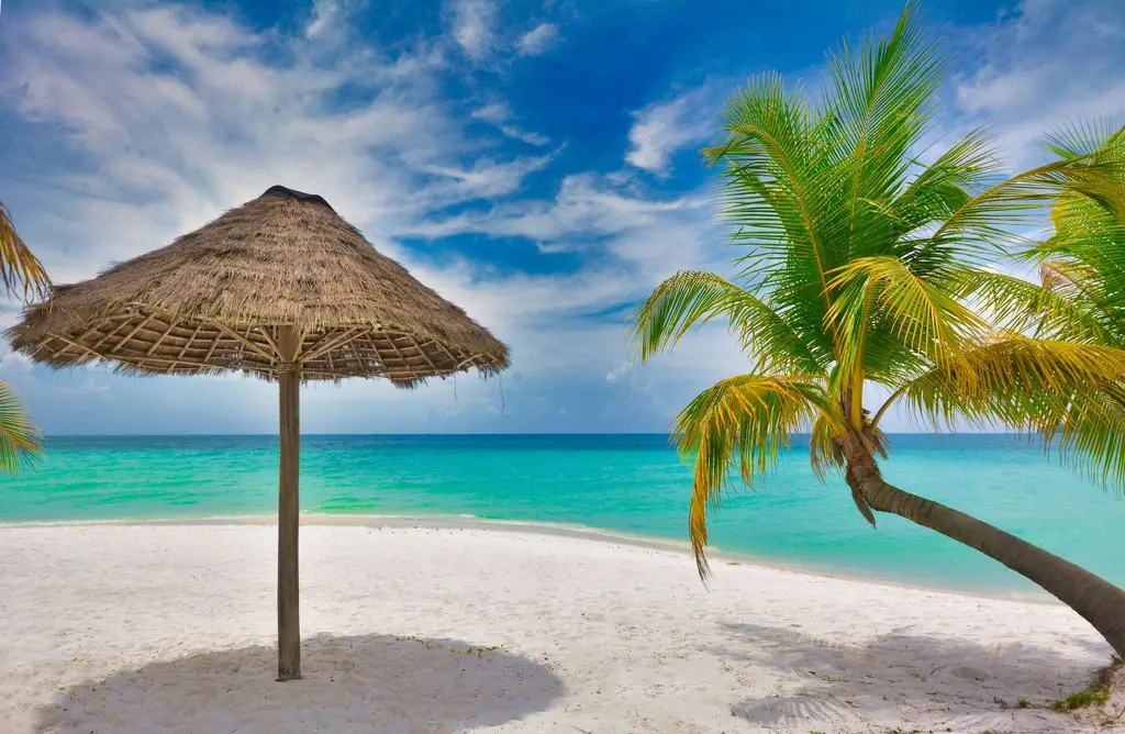 Stunning tropical beach scene on Koh Rong, Cambodia with palm trees and turquoise waters.