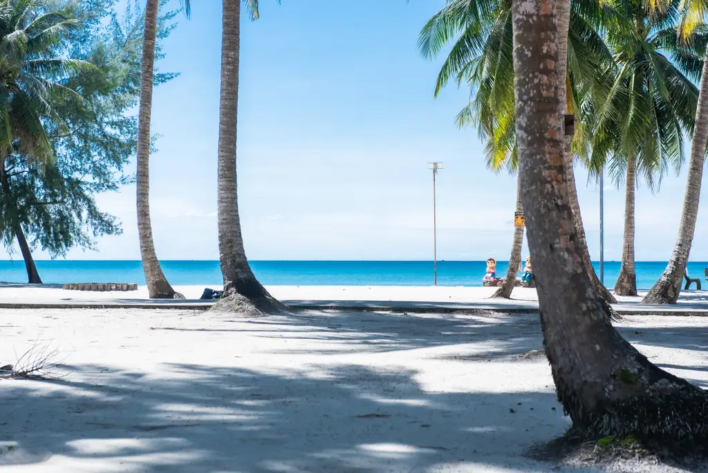 Peaceful beach view with palm trees and clear blue water in Sihanoukville, Cambodia.