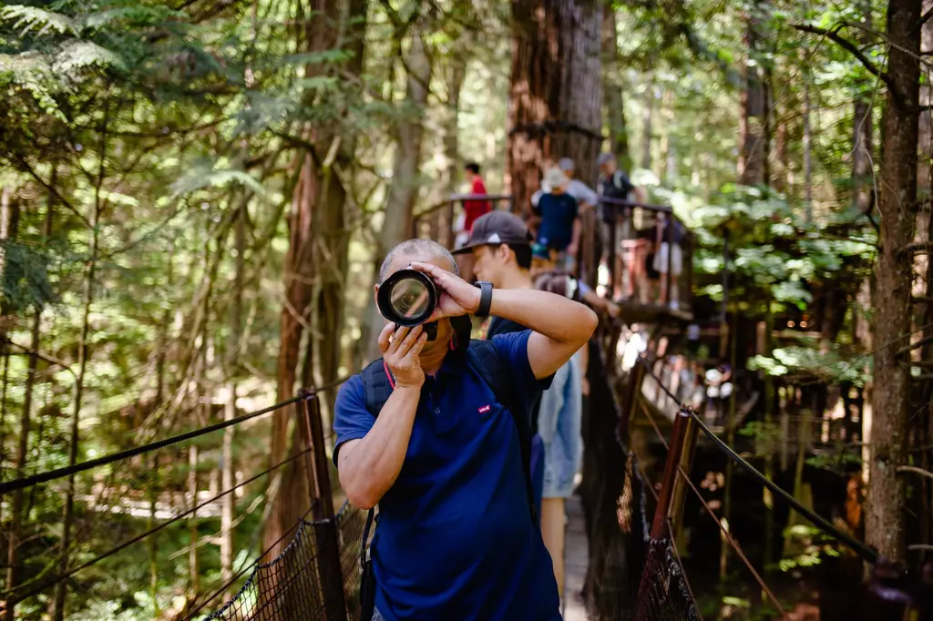 A photographer captures moments on a footbridge in North Vancouver's forested park.
