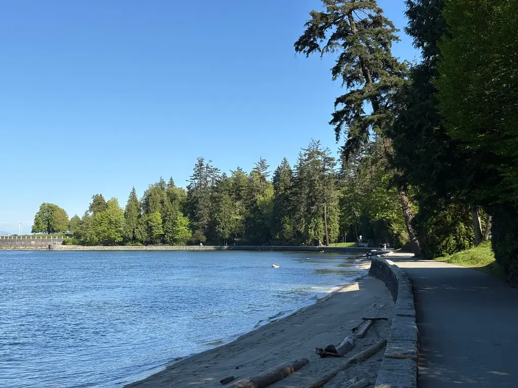 A beautiful view of the seawall path along the beach in Stanley Park, Vancouver, under clear blue skies.