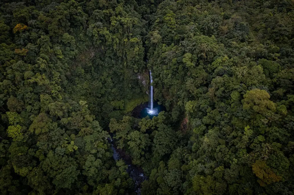 A breathtaking aerial shot of La Fortuna Waterfall surrounded by lush rainforest in Costa Rica.