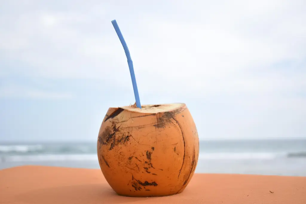 coconut, sea, nature, beach, ocean, water, sky, caribbean, exotic, resort, holiday