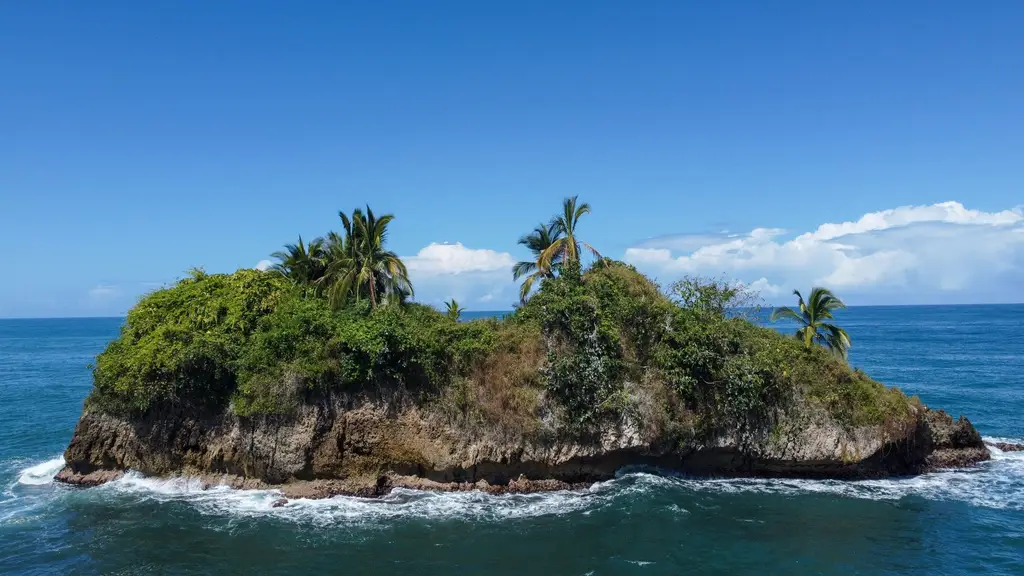 A lush, palm-covered island off the coast of Puerto Viejo, Costa Rica against a clear blue sky.