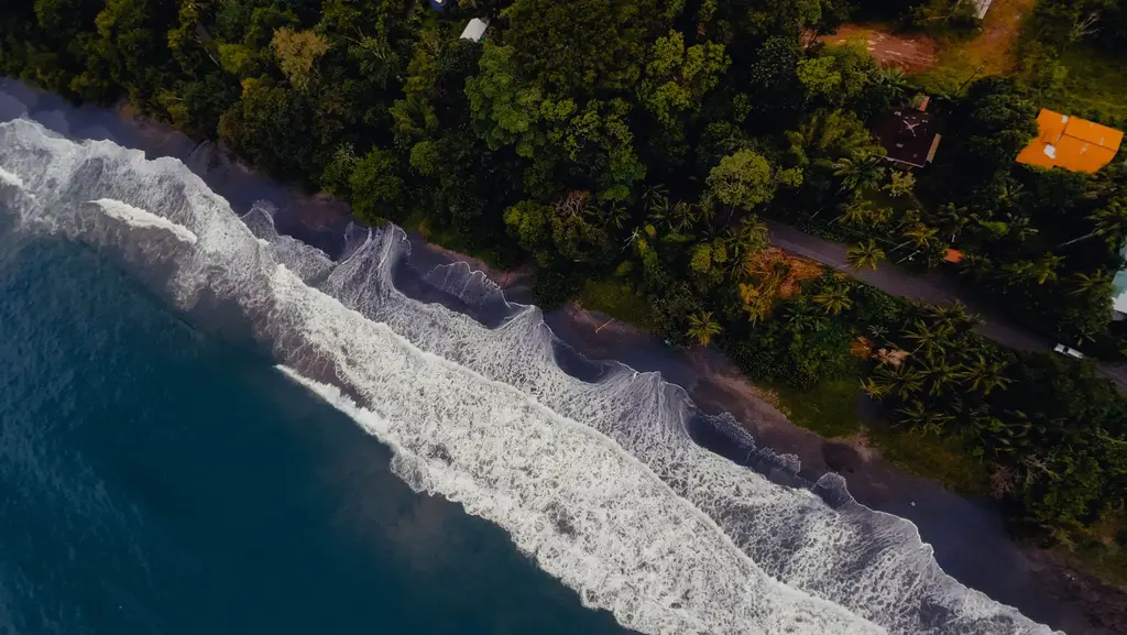 A breathtaking aerial view of the coast of Puerto Viejo de Talamanca, Costa Rica, showcasing lush greenery and ocean waves.