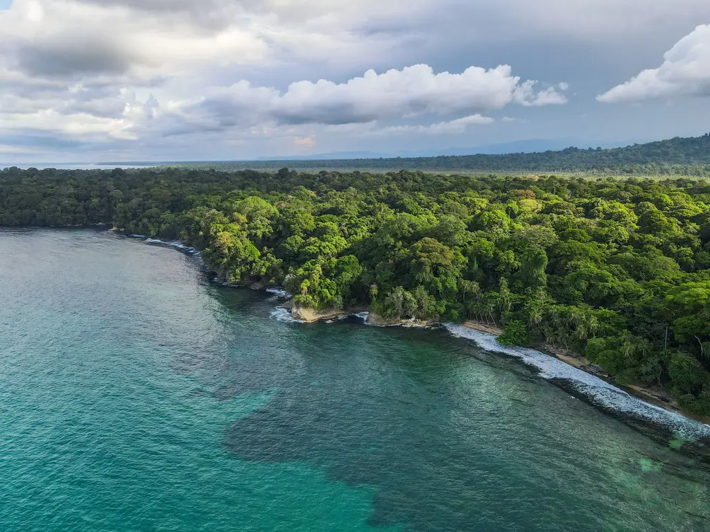 Stunning aerial view of Punta Uva's coastline with dense tropical forest and turquoise waters in Costa Rica.