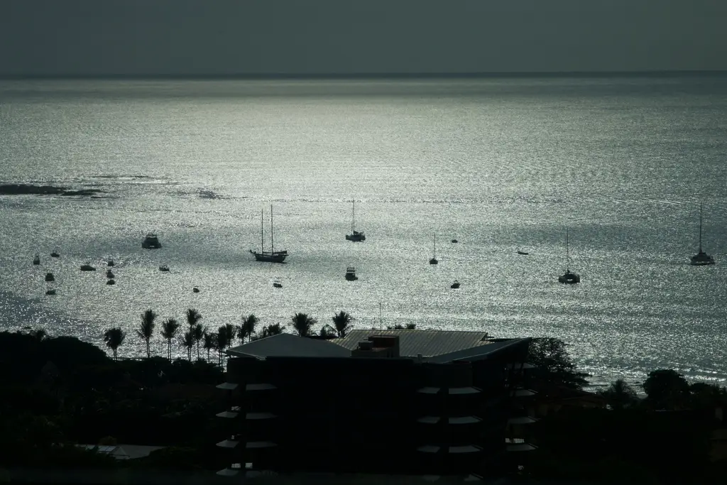 Boats anchored at sunset with silhouettes of palm trees in Tamarindo, Costa Rica.