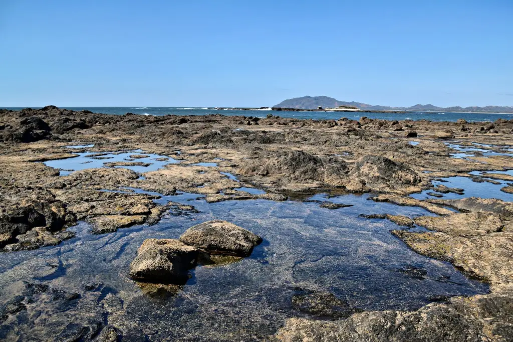 Explore the serene rocky coastline of Tamarindo Beach, Costa Rica under clear blue skies.