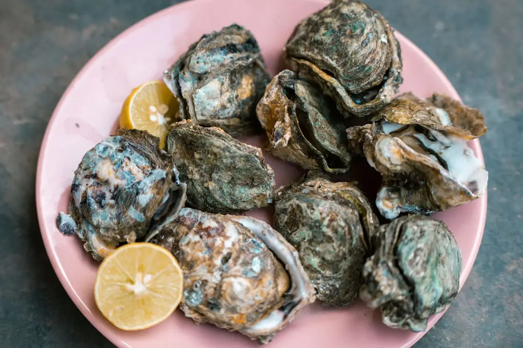 A plate of fresh oysters with lemon slices presented on a pink dish.