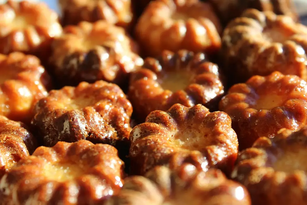 fluted, bordeaux, french speciality, dessert, food, sweet, pastry, gastronomy, bordeaux, bordeaux, bordeaux, bordeaux, bordeaux