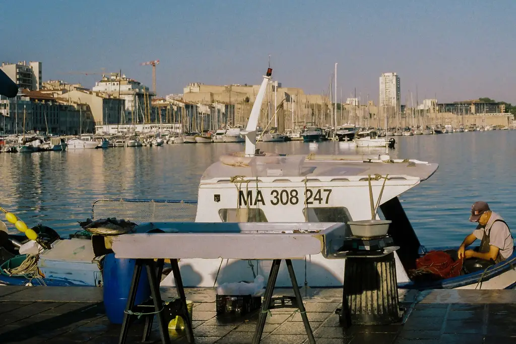 Fisherman working at Marseille's Vieux Port with boats and cityscape in the background.