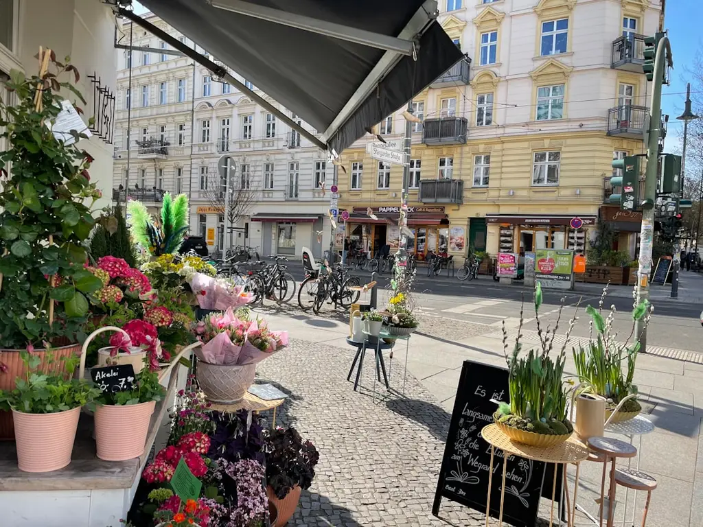 A bunch of potted plants on a sidewalk
