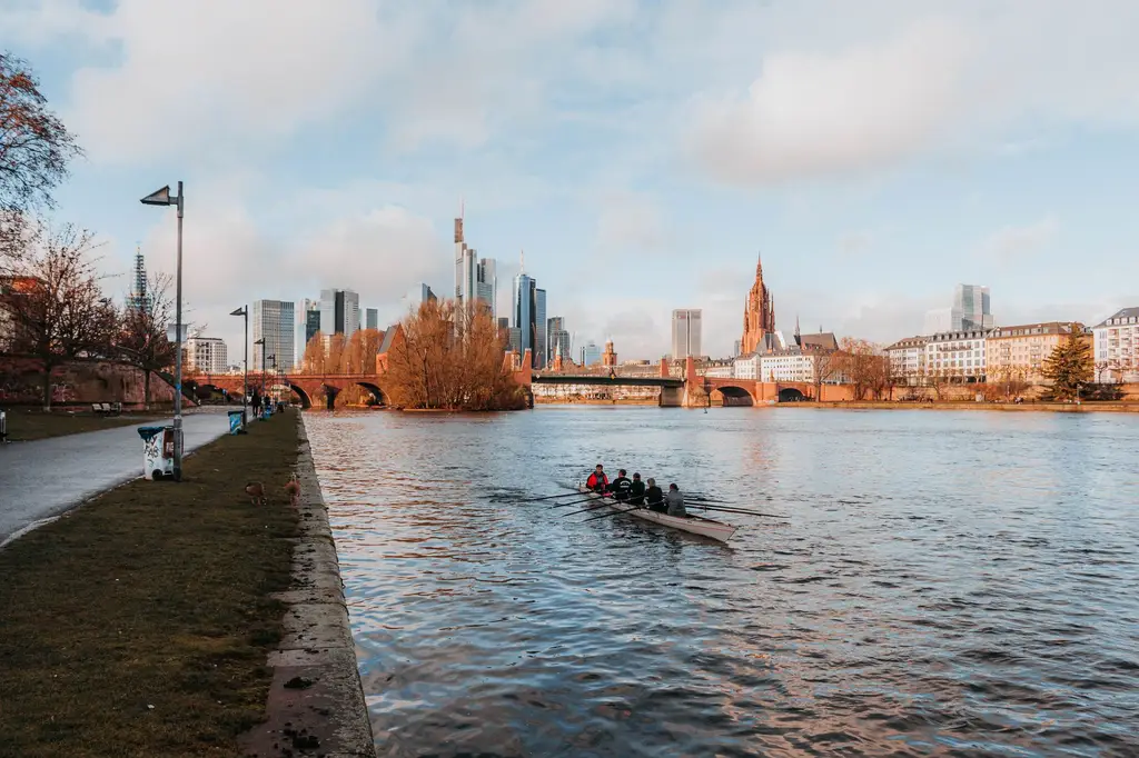 A crew paddles along the Main River with Frankfurt's skyline and cathedral in view.