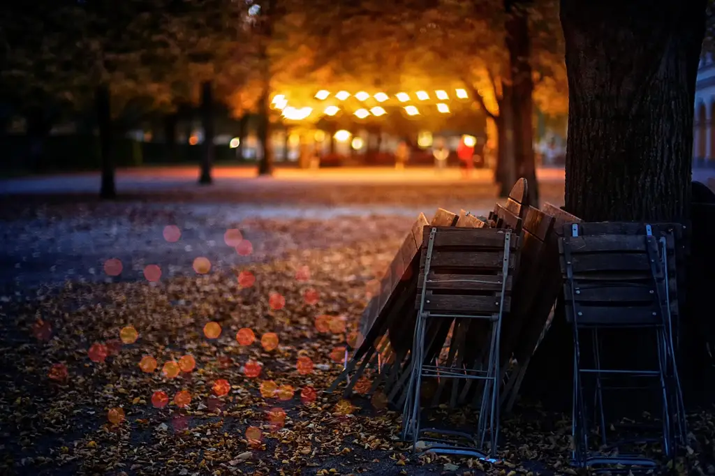 fall, leaves, lights, garden, celebration, multicoloured, chairs, garden chairs, tree, festival of lights, fixed, beer garden, orange, chinese lanterns, bokeh, folded up, folding chair, nature, munich, bavaria