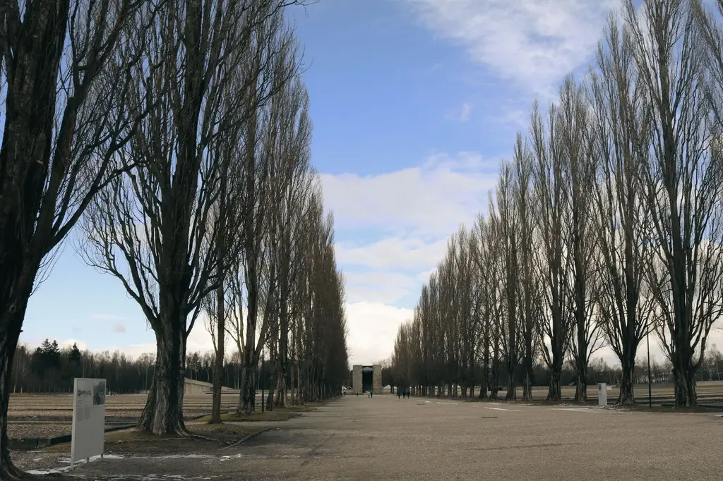 Symmetrical rows of tall bare trees at Dachau Concentration Camp Memorial site.