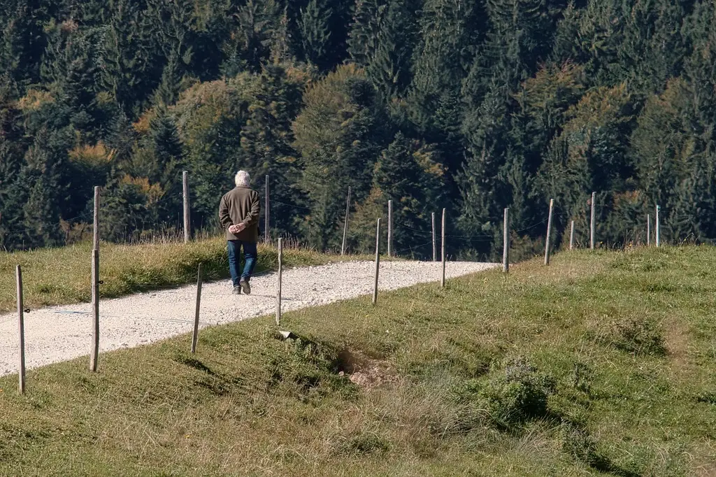 person, walk, park, nature, path, gravel road, meadow, trees, forest, person, person, person, person, person, walk, walk, park