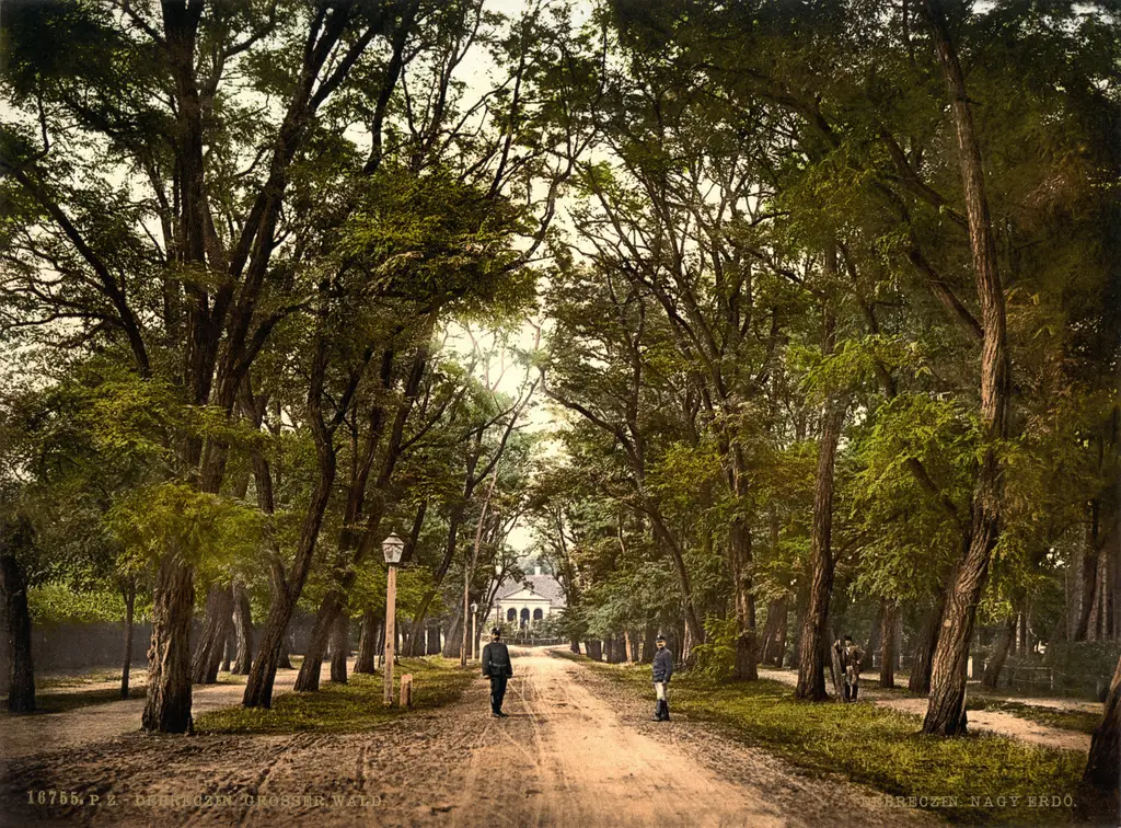 The Great Forest, Debreczin, Hungary Austro-Hungary