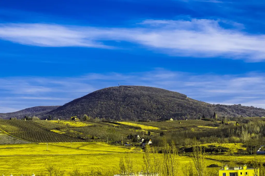 Stunning view of the Eger countryside with rolling hills, green fields, and a vibrant blue sky.