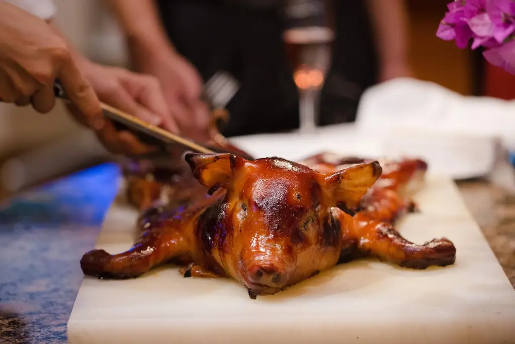 roast suckling pig, suckling pig, pig, suckling pig, suckling pig, suckling pig, suckling pig, pig, pig, pig, pig, pig