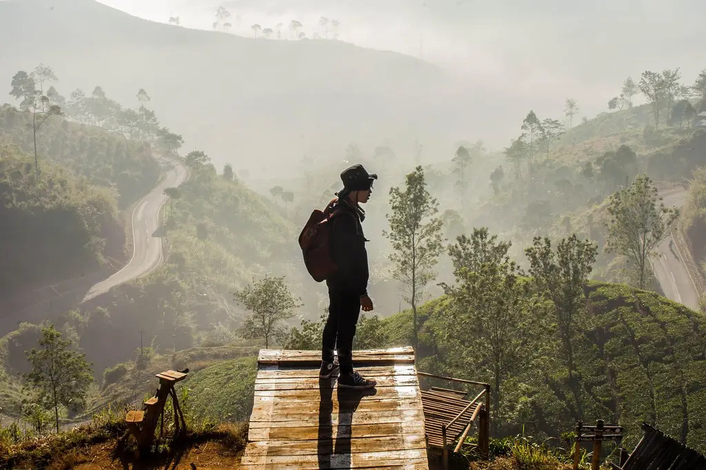 man, view, bandung, indonesia, sunrise, landscape, nature, green, fog, asia, java, outdoor, explore, walker, tree, mood, calm, trees, foggy, pangalengan, morning, sunset, people, indonesia, indonesia, indonesia, indonesia, explore, explore, explore, explore, explore, calm, calm, people