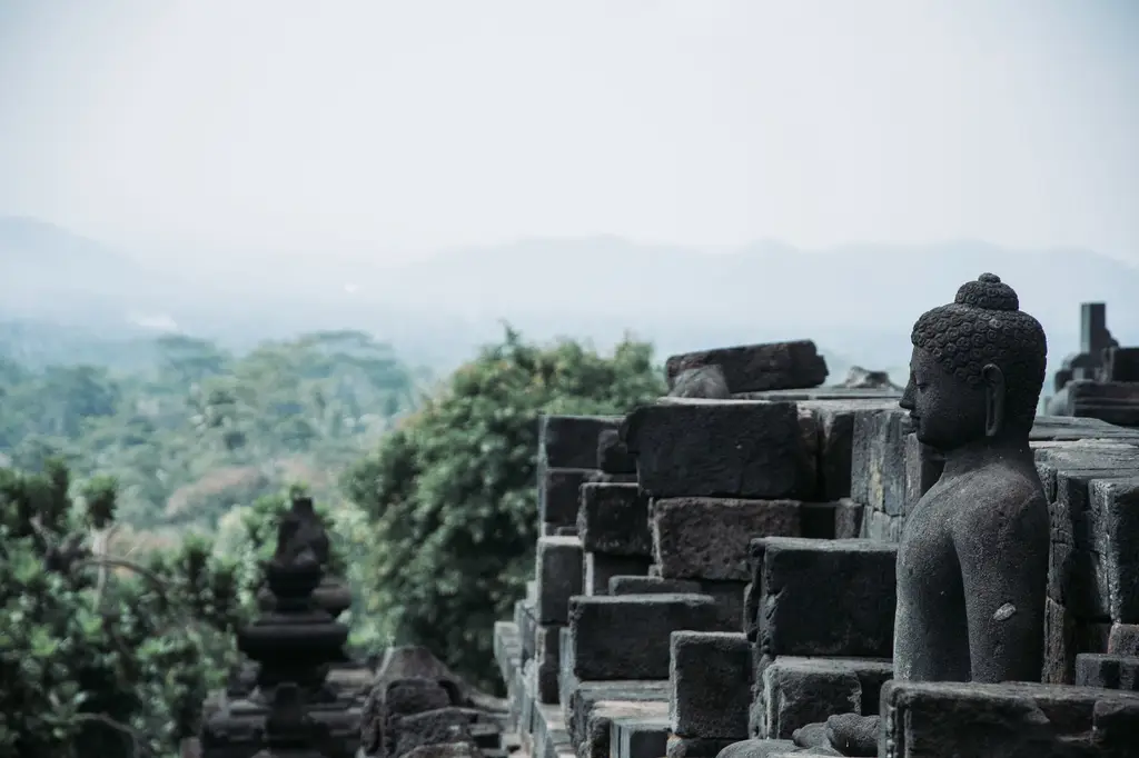 Serene Buddha statue at Borobudur Temple, Yogyakarta, amidst lush greenery.