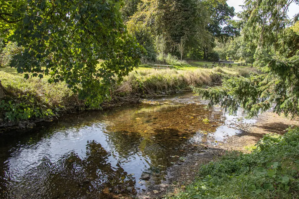 Tranquil riverside scene with lush greenery in County Cork, Ireland.