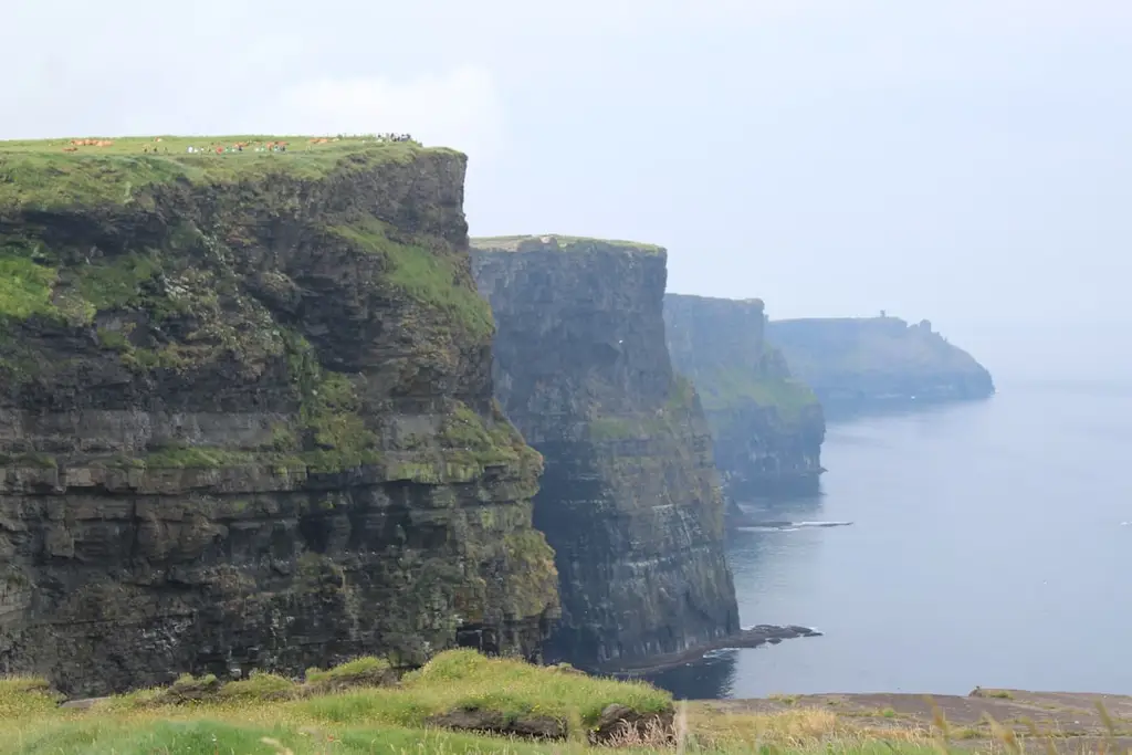 a sheep standing on the edge of a cliff overlooking a body of water