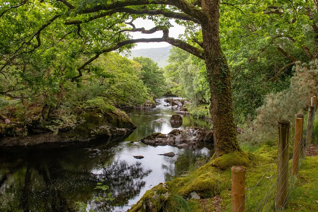 river, stream, field, valley, killarney, ireland, kerry, water, sky, clouds, nature, landscape