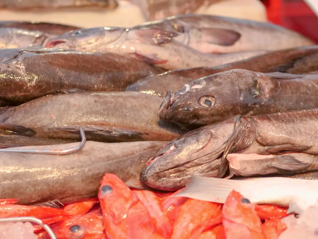 Close-up of various raw fish at a seafood market, showcasing fresh produce.