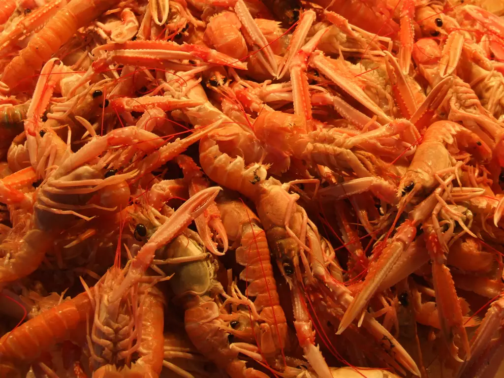 Venice Market, Rialto - panoramio