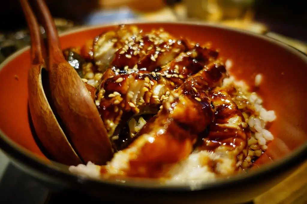 sushi, japan, japanese cuisine, gourmet, restaurant, eel rice, sushi, sushi, sushi, sushi, sushi, restaurant