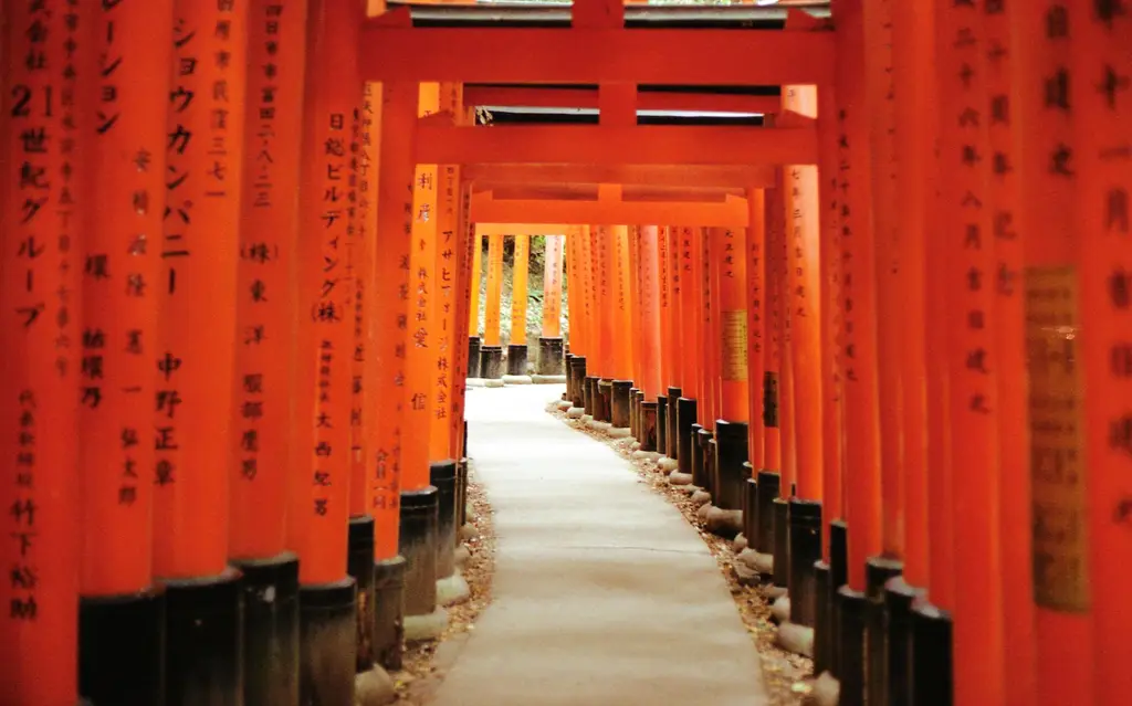 Iconic orange torii gates of Fushimi Inari Taisha shrine in Kyoto, Japan, symbolizing a spiritual pathway.