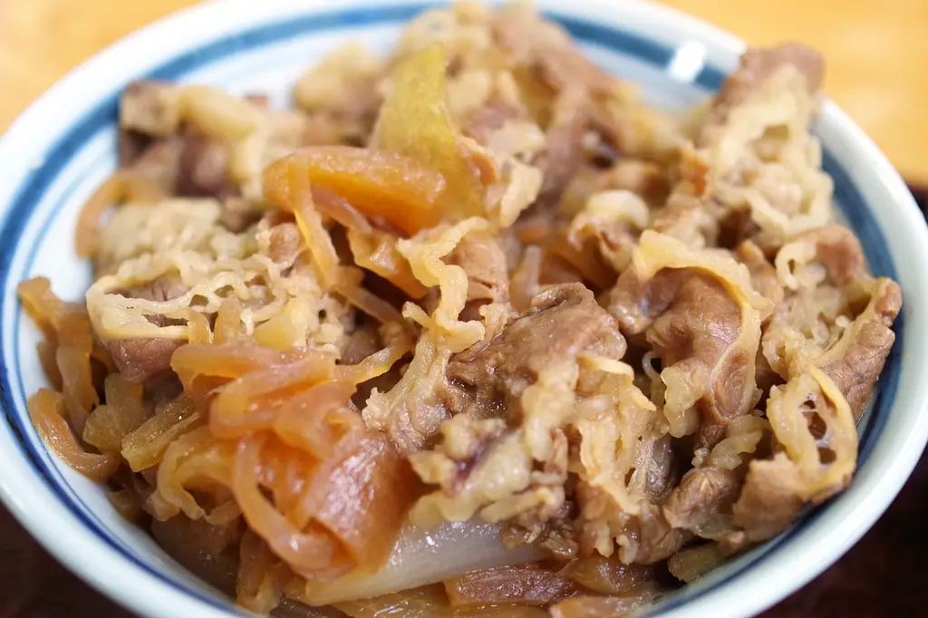 beef, food, meal, restaurant, delicious, meat, beef bowl, japan contest