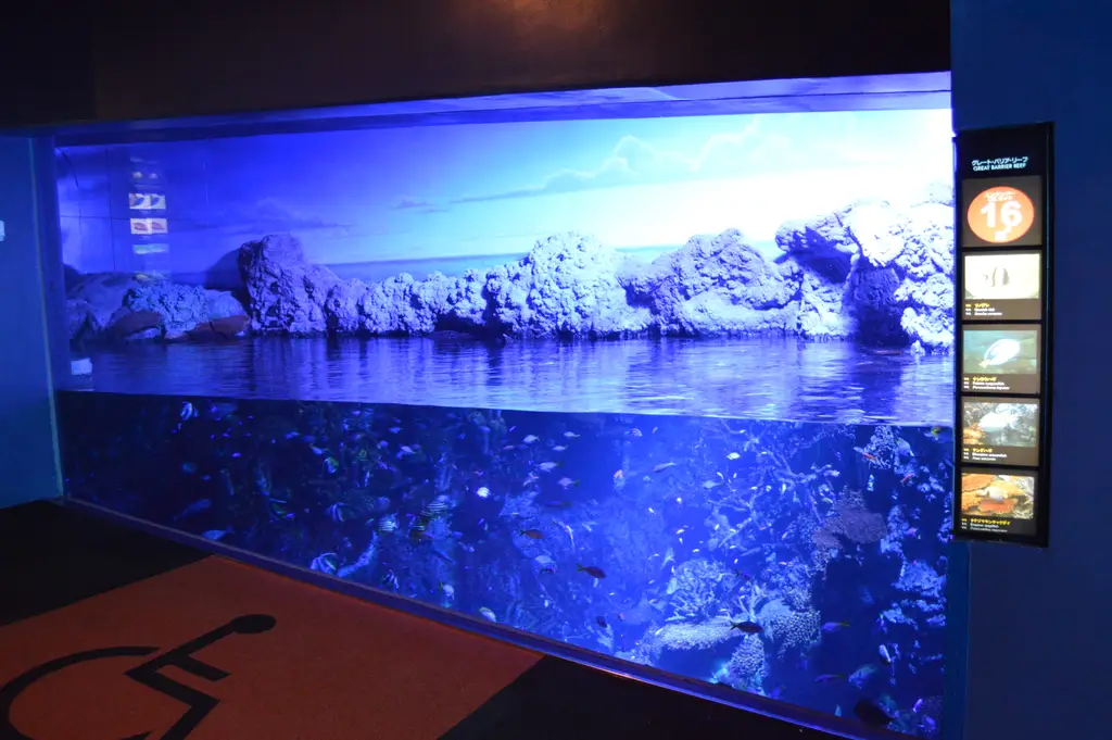 Osaka Aquarium Kaiyukan 2013-09C