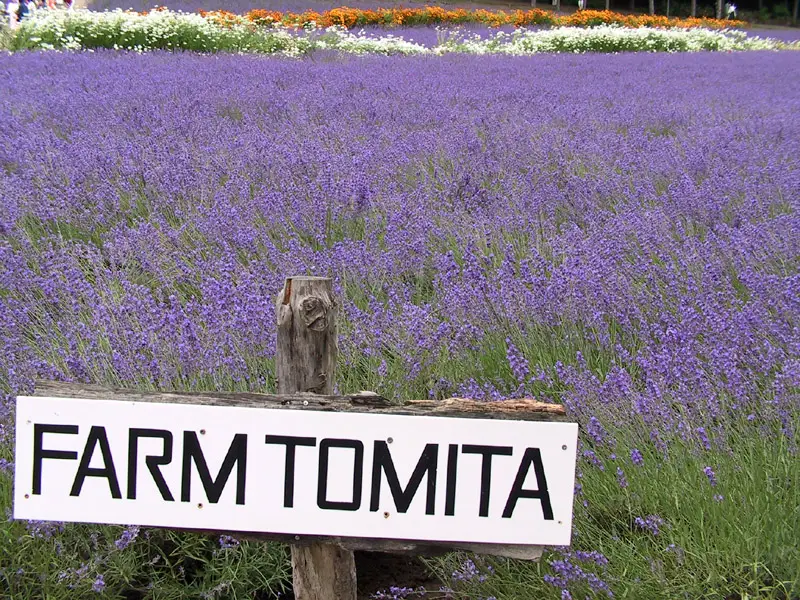 Sign of Farm Tomita