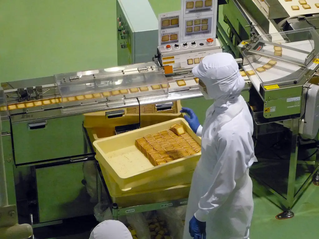 japan, sapporo, chocolate factory, label, packaging, cookie, machine, operator, inspecting, place of interest, shiroi koibito park, amusement park, chocolate factory, chocolate factory, chocolate factory, chocolate factory, chocolate factory