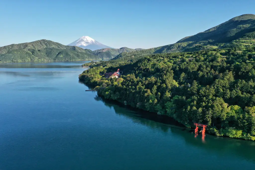 Lake Ashi & Mt Fuji & Hakone Shrine