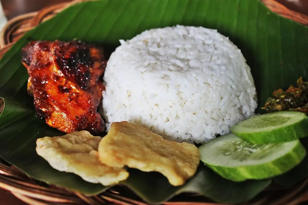 grilled chicken, white rice, indonesian food, chilli sauce, cucumber, javanese food, white rice, white rice, white rice, white rice, white rice, indonesian food, indonesian food, indonesian food, indonesian food