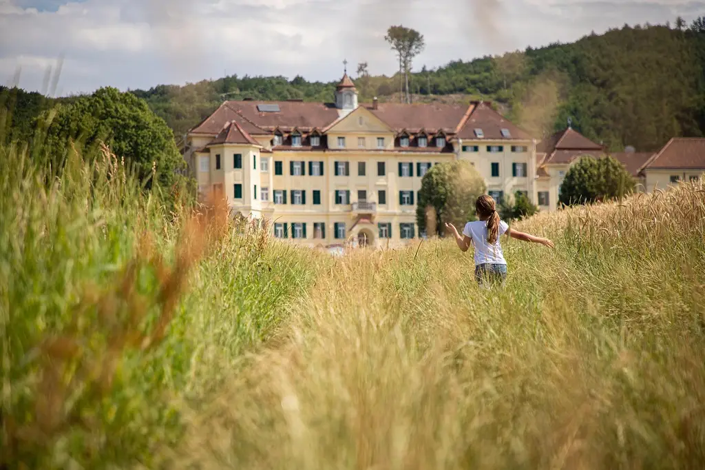 field, nature, mansion, run, outdoors, mansion, mansion, mansion, mansion, mansion