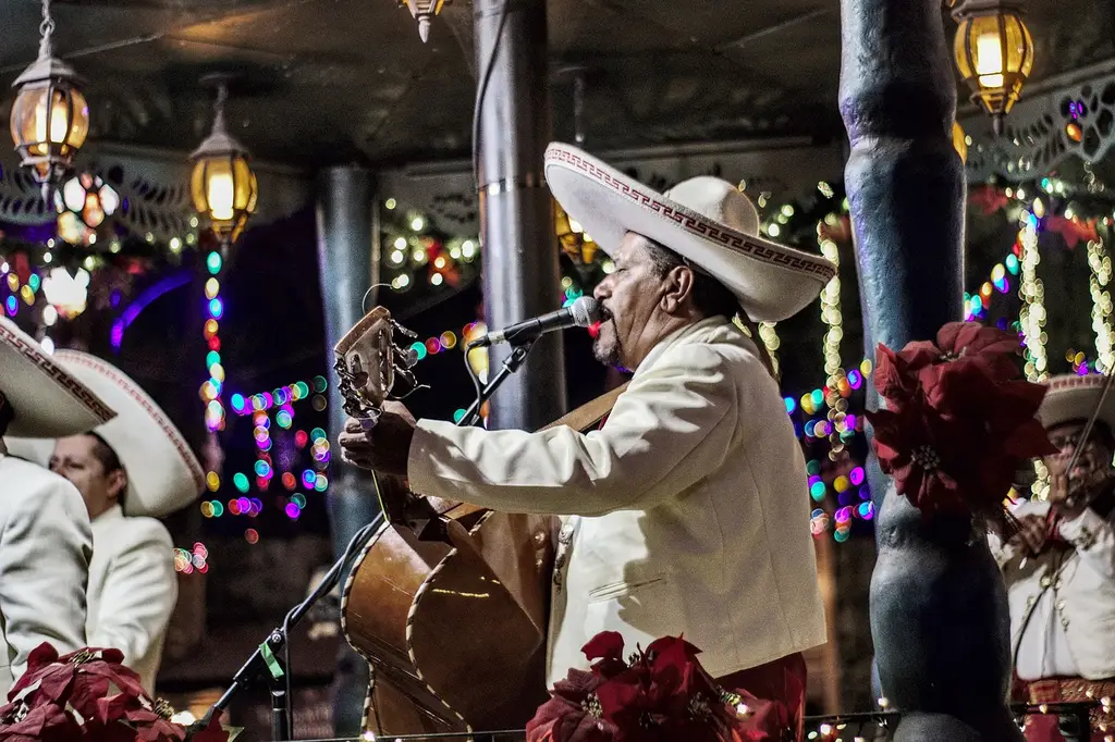 mariachi, guitar, mexico, music, instrument, guitarist, hat, culture, latin, costume, popular, musician, group, party, mariachi, mariachi, mariachi, mariachi, mariachi