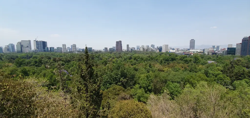 Bosque de Chapultepec - View from Northwest terrace - Chapultepec Castle - Mexico 2024