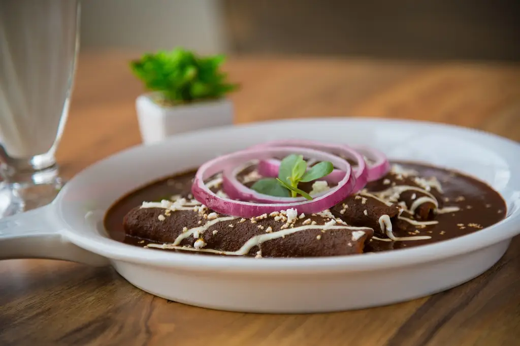 mexican food, enchiladas, onion, dinner, kitchen, eat, food, restaurant, mole, mole poblano, mexican food, enchiladas, enchiladas, enchiladas, enchiladas, enchiladas, mole, mole poblano, mole poblano