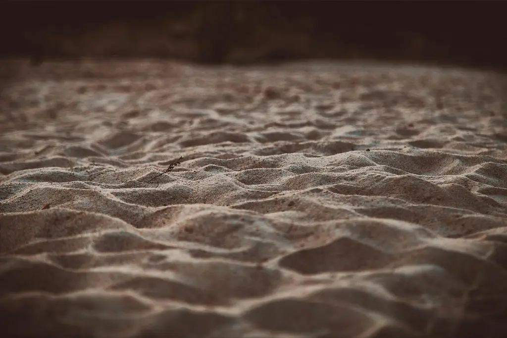 sand, the river's fish and, landscape, nature, beach