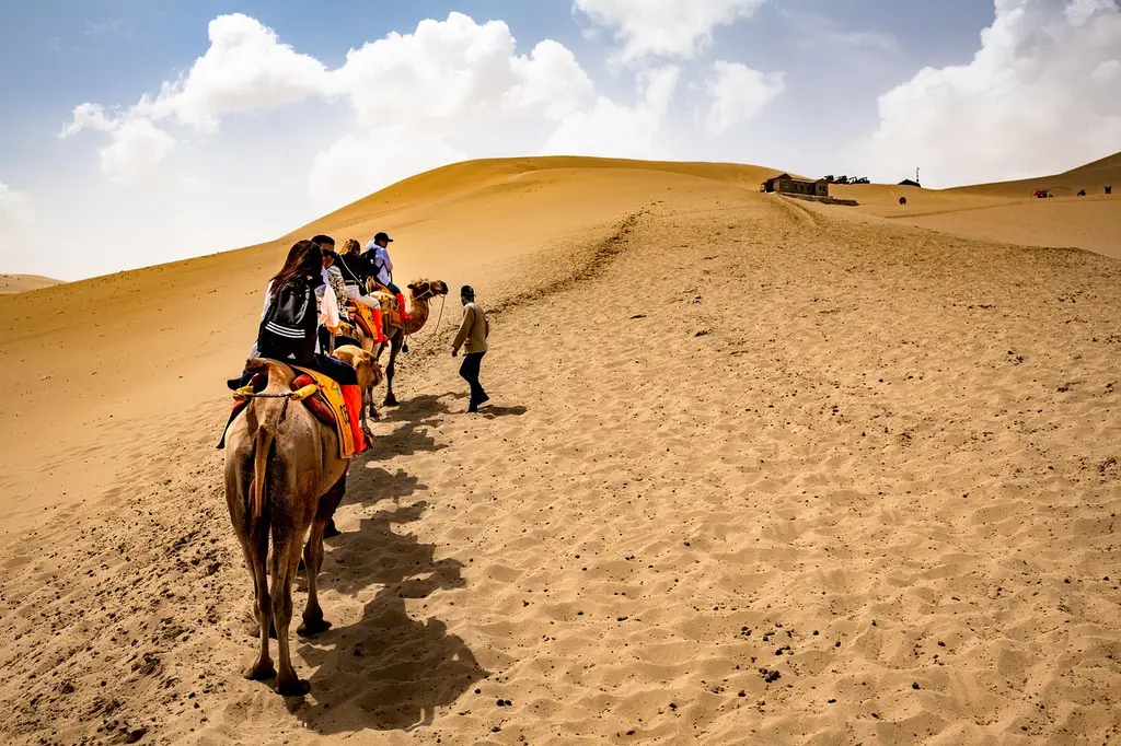desert, camels, ride, cameleers, camel ride, riding, sand, sand dunes, tourists, dunhuang, tourism, people, landscape, nature, camel ride, camel ride, camel ride, camel ride, camel ride, dunhuang, dunhuang, dunhuang, dunhuang