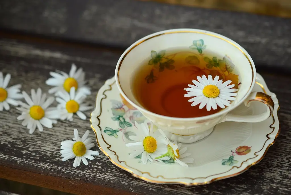 cup, tee, porcelain, drink, decor, break, still life, teatime, herbal tea, tea, chamomile tea, tea cup, health, herbs, tumblr wallpaper