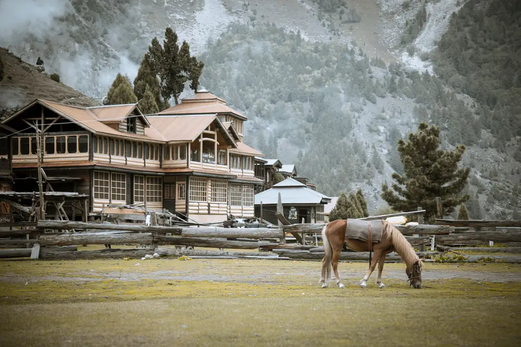A brown horse grazes near a traditional house in Gilgit, surrounded by mountains.