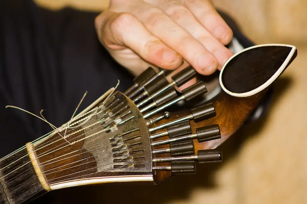 guitar, portugal, string, musician, music, song, alfama, lisbon, fado, brown music, brown guitar, fado, fado, fado, fado, fado