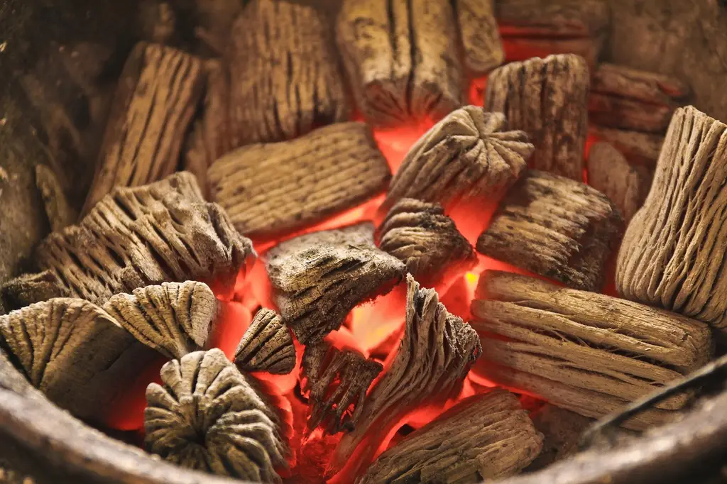 charcoal, grilled, fire, charcoal, charcoal, charcoal, charcoal, charcoal, grilled